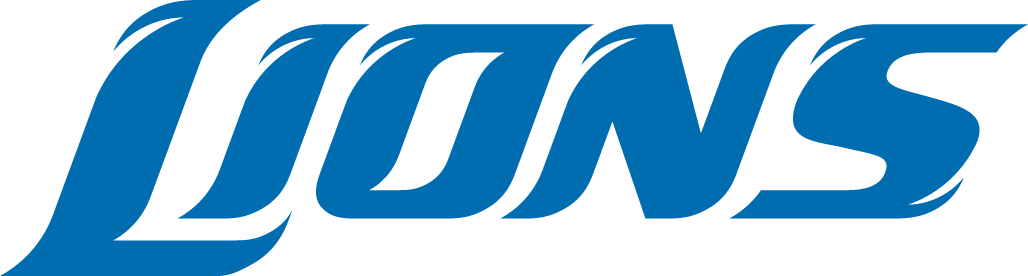 Detroit Lions 2009-2016 Wordmark Logo t shirts iron on transfers
